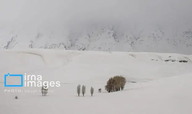 تصاویر: بارش شدید برف در کوهرنگ