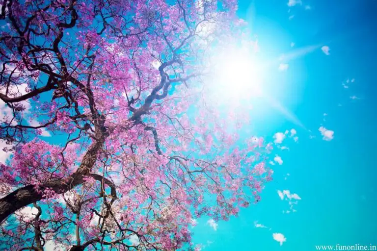 خبر بد برای بارش‌ها در سال آینده