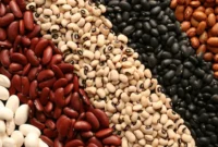 افزایش قیمت حبوبات در راه است؟ | قیمت هر کیلو لوبیا چیتی چند؟