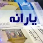 تغییرات جدید قانون دریافت یارانه نقدی / این افراد به لیست یارانه‌بگیران اضافه می‌شوند