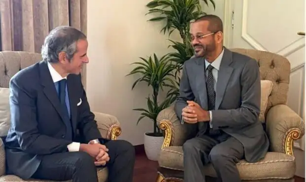 علت حضور گروسی در مذاکرات ژنو چیست؟ علت حضور گروسی در مذاکرات ژنو چیست؟