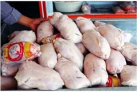 تغییر ناگهانی در بازار مرغ | قیمت جدید مرغ اعلام شد