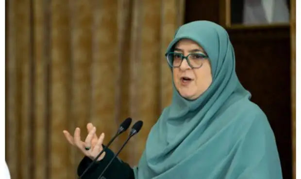 خبر مهم سخنگوی دولت درباره مذاکره ایران و آمریکا / برنامه جدید مشخص شد