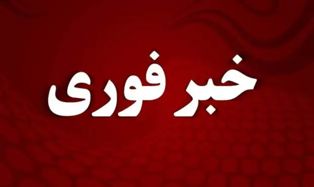 فوری/ خبر شهادت عروس و داماد رهبر انقلاب حذف شد + جزئیات