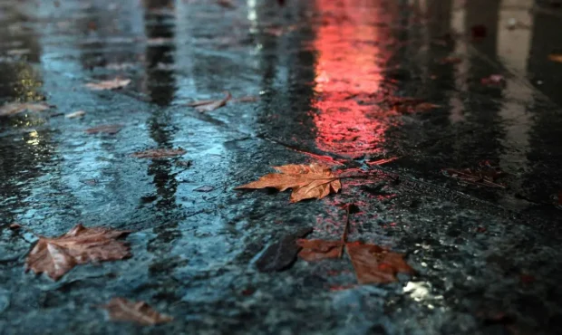 وضعیت هوای فردا گیلان دوشنبه ۲۷ بهمن ۱۴۰۴ | پیش بینی آب و هوای گیلان در ۲۴ ساعت آینده + هواشناسی گیلان