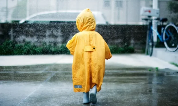 وضعیت هوای فردا کرمان دوشنبه ۲۷ بهمن ۱۴۰۴ | پیش بینی آب و هوای کرمان در ۲۴ ساعت آینده + هواشناسی کرمان