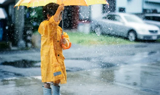 وضعیت هوای فردا مازندران دوشنبه ۲۷ بهمن ۱۴۰۴ | پیش بینی آب و هوای مازندران در ۲۴ ساعت آینده + هواشناسی مازندران وضعیت هوای فردا مازندران دوشنبه ۲۷ بهمن ۱۴۰۴ | پیش بینی آب و هوای مازندران در ۲۴ ساعت آینده + هواشناسی مازندران