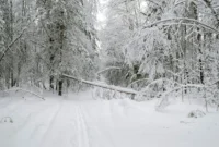 وضعیت هوای فردا اصفهان دوشنبه ۲۷ بهمن ۱۴۰۴ | پیش بینی آب و هوای اصفهان در ۲۴ ساعت آینده + هواشناسی اصفهان