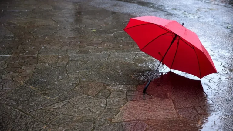 وضعیت هوای فردا خوزستان دوشنبه ۲۷ بهمن ۱۴۰۴ | پیش بینی آب و هوای خوزستان در ۲۴ ساعت آینده + هواشناسی خوزستان