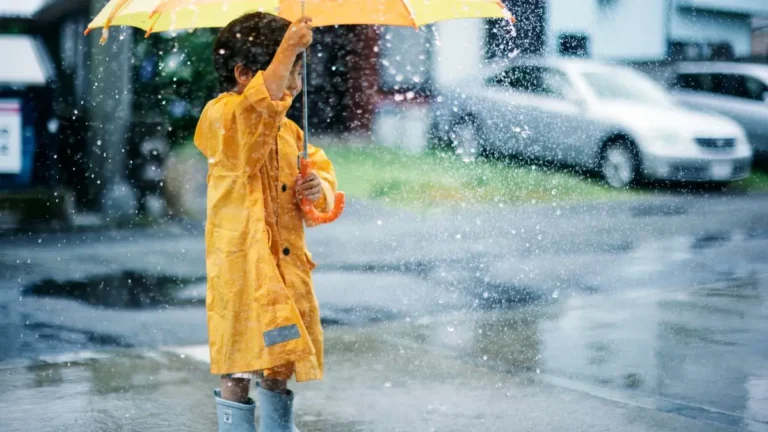 وضعیت هوای فردا فارس و شیراز دوشنبه ۲۷ بهمن ۱۴۰۴ | پیش بینی آب و هوای شیراز در ۲۴ ساعت آینده + هواشناسی شیراز