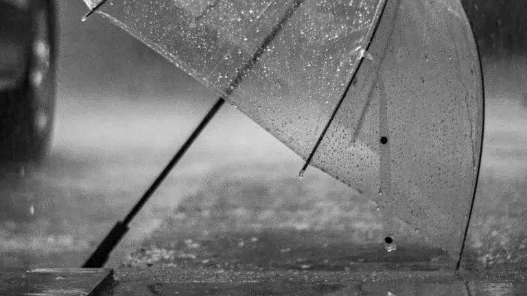 وضعیت هوای فردا تهران دوشنبه ۲۷ بهمن ۱۴۰۴ | پیش بینی آب و هوای تهران در ۲۴ ساعت آینده + هواشناسی تهران