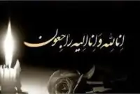 فوری / رئیس سازمان اطلاعات فراجا به شهادت رسید