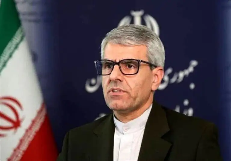 بقایی: ادعای دلسوزی برای مردم ایران، فریبکاری بیش نیست