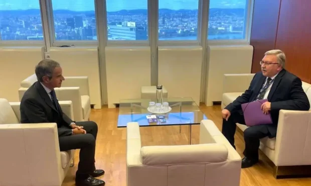 جزئیات دیدار اولیانوف با گروسی درباره وضعیت خلیج فارس