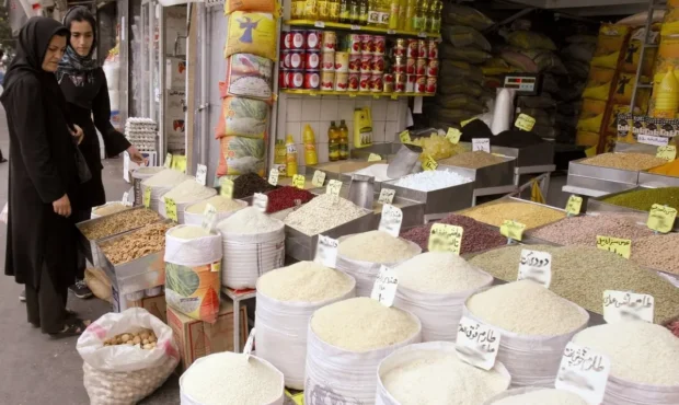 خبر خوش / قیمت برنج ایرانی در کمال ناباوری ارزان شد