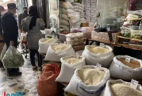 عرضه سنگین برنج در بازار / خبر خوش اعلام شد