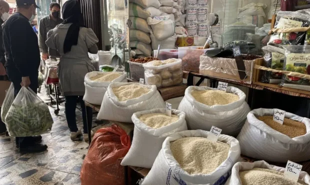 عرضه سنگین برنج در بازار / خبر خوش اعلام شد
