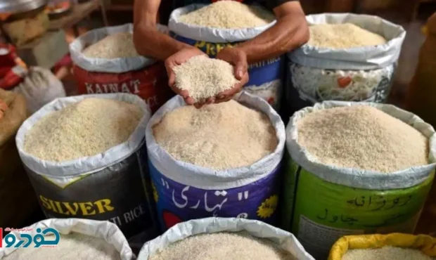 ارزان‌ترین و گران‌ترین برنج بازار چند؟ / از هندیِ ۱۷۰ هزار تومانی تا طارمِ ۵۵۰ هزار تومانی!