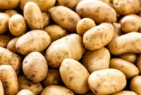 حداکثر قیمت سیب زمینی اعلام شد! / از این قیمت بالاتر نخرید!