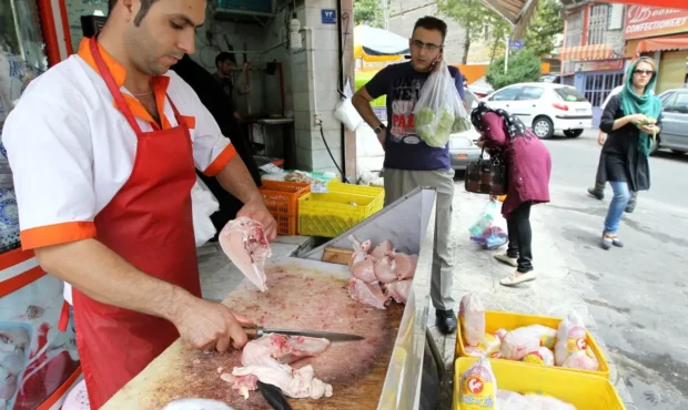 ترکیه به داد بازار مرغ ایران رسید