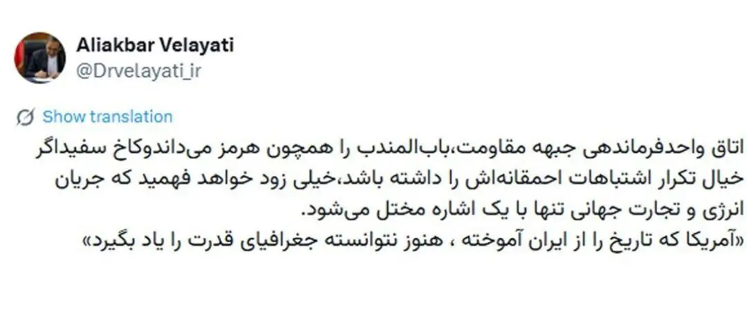 پیام ولایتی به کاخ سفید/ باب‌المندب برای جبهه مقاومت مانند تنگه هرمز است