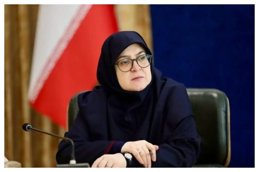 توضیحات سخنگوی دولت در مورد اینترنت پرو / محدودیت دسترسی به اینترنت در بسیاری از کشورها اتفاق می‌افتد
