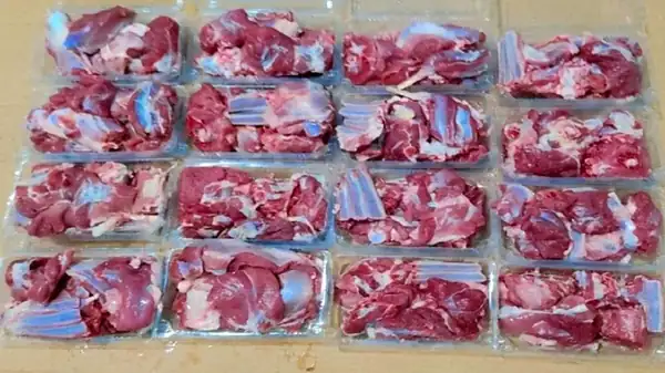 توزیع گوشت رایگان به مددجویان