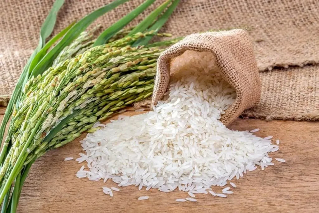 لیست قیمت انواع برنج ایرانی ۲۶ اردیبهشت ۱۴۰۵ | کیسه ۱۰ کیلویی برنج نیم دانه، عنبربو، هاشمی و...را چند بخریم؟ + جدول