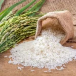 لیست قیمت انواع برنج ایرانی ۲۶ اردیبهشت ۱۴۰۵ | کیسه ۱۰ کیلویی برنج نیم دانه، عنبربو، هاشمی و...را چند بخریم؟ + جدول