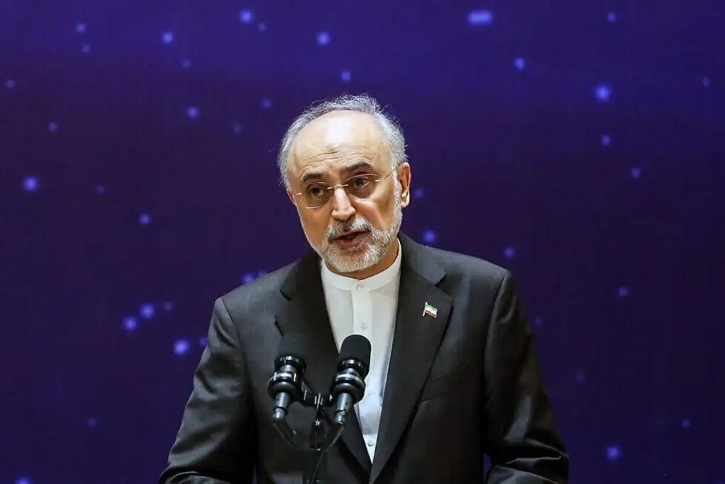 آمادگی کشور‌های همسایه برای پدیرش پناهندگان ایرانی و آماده کردن اردوگاه‌ها/ علی‌اکبر صالحی یادآوری کرد