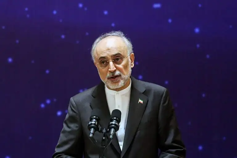 آمادگی کشور‌های همسایه برای پدیرش پناهندگان ایرانی و آماده کردن اردوگاه‌ها/ علی‌اکبر صالحی یادآوری کرد
