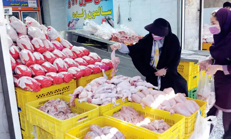 کاهش ۳۰ درصدی قیمت مرغ در راه است؟ / شرط مهم برای ارزان شدن مرغ اعلام شد