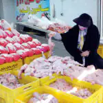 قیمت جدید مرغ امروز ۲۳ اردیبهشت ۱۴۰۵ اعلام شد + جدول