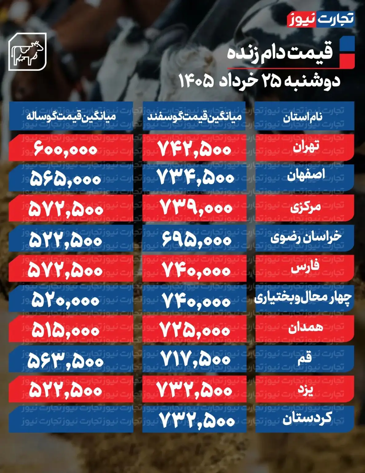 6429131 قیمت جدید دام زنده امروز ۲۵ خرداد ۱۴۰۵/ قیمت گوسفند و گوساله تغییر کرد؟ + جدول