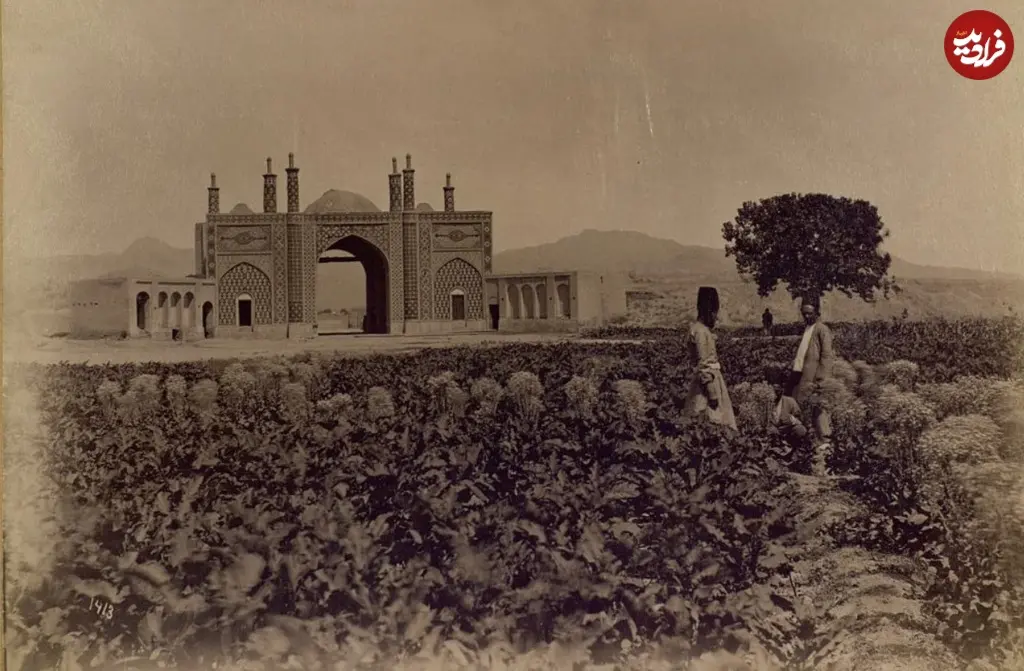 مزرعه