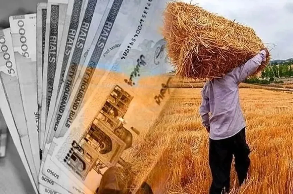 آخرین وضعیت مطالبات گندمکاران اعلام شد