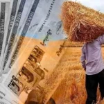 آخرین وضعیت مطالبات گندمکاران اعلام شد