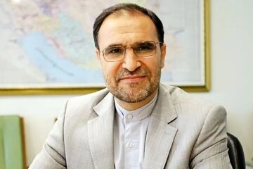 پیشنهاد نماینده مجلس به کمیسیون قضایی برای انتقام‌گیری از خون رهبر شهید/ مگر آقای شهید درباره شاه سلطان حسینی عمل نکردن بعضی مسئولان، هشدار ندادند؟