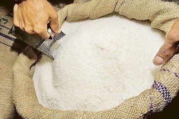 قیمت جدید شکر اعلام شد/ یک کیلو شکر چند شد؟