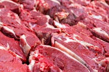 کمبودی در بازار گوشت و مرغ نیست/ مقدسی: گوشت را نباید بالاتر از این رقم بخرید