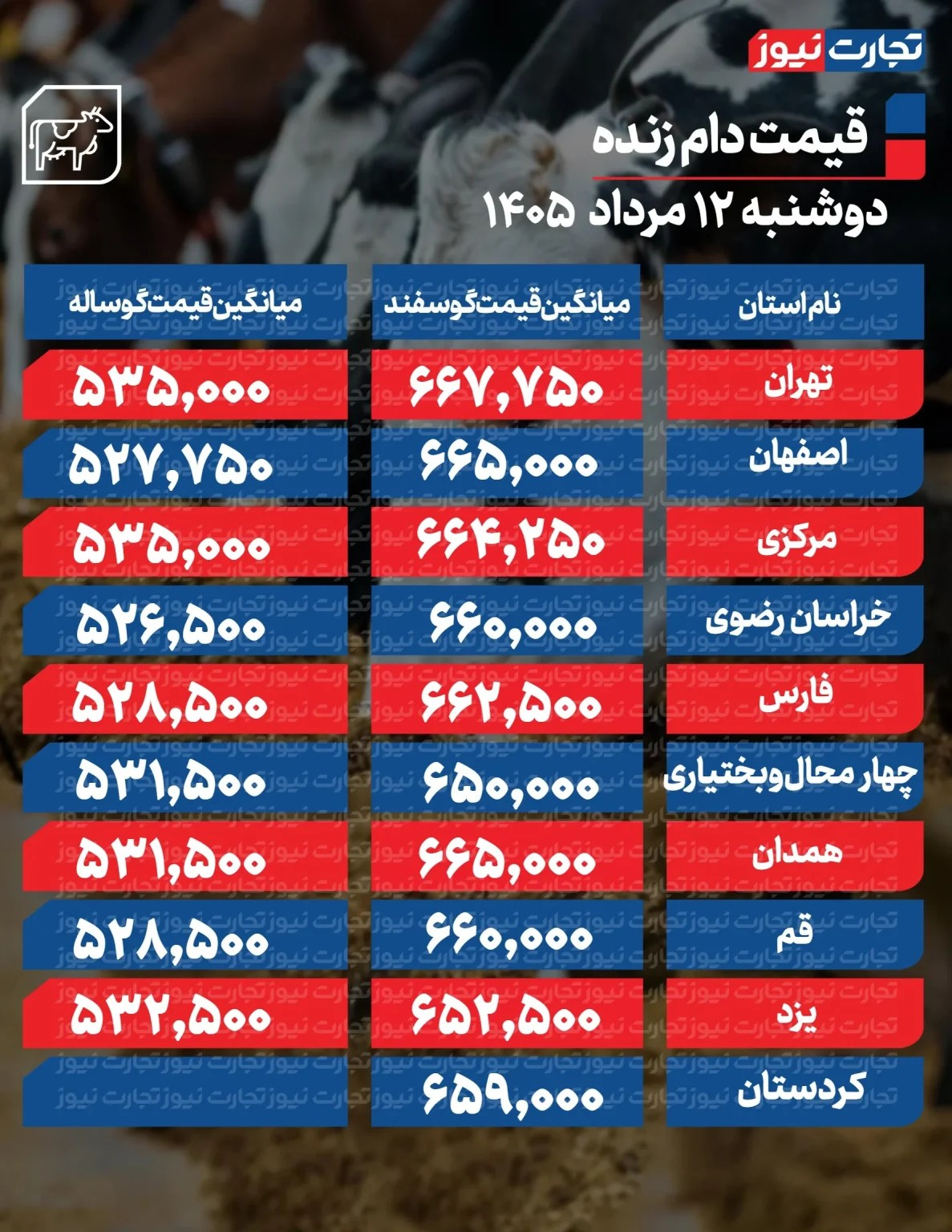 6453671 قیمت جدید دام زنده امروز ۱۲ مرداد ۱۴۰۵/ ارزانترین گوسفند در این منطقه به فروش میرود + جدول