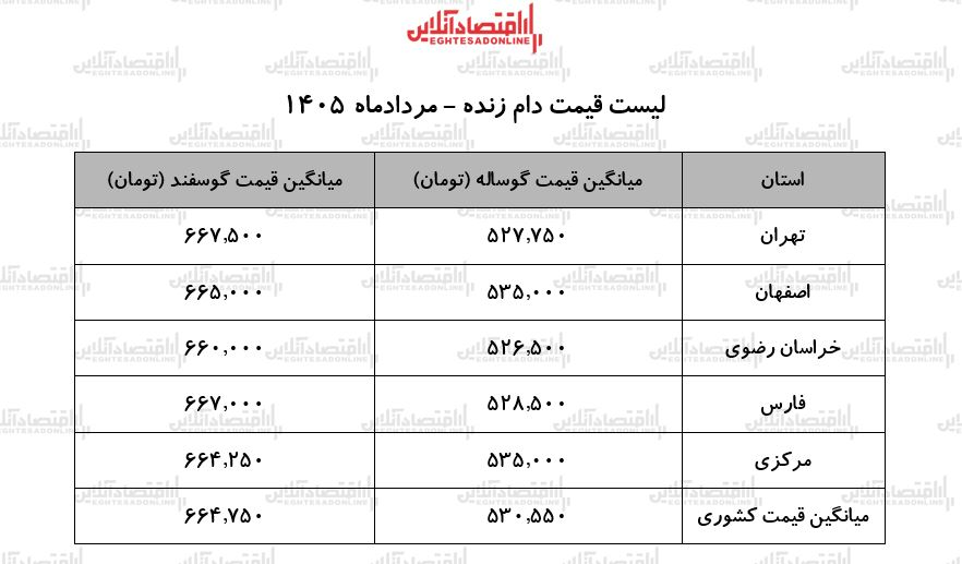 6458262 لیست قیمت دام زنده امروز ۲۳ مرداد ۱۴۰۵/ گوسفند کیلویی چند شد؟ + جدول