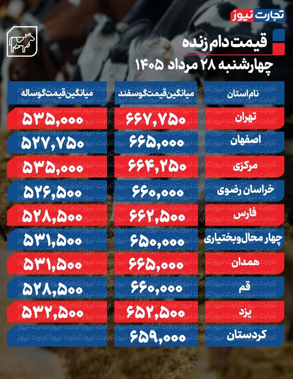 قیمت جدید دام زنده امروز ۲۸ مرداد ۱۴۰۵/ ارزان‌ترین گوساله در کجا خرید و فروش می‌شود؟ + جدول
