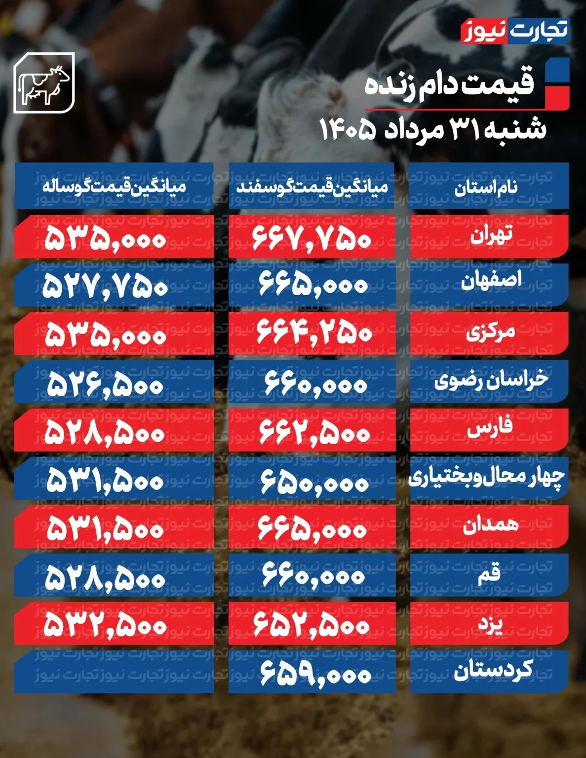 6461972 قیمت جدید دامزنده ۳۱ مردادماه ۱۴۰۵/ قیمت گوسفند و گوساله چه تغییری کرد؟ + جدول