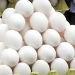 خبر مهم از بازار | تخم مرغ گران می‌شود؟