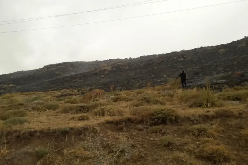 آتش سوزی در تالاب نئور اردبیل مهار شد