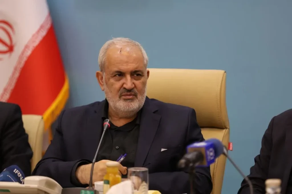بیمه برق مشترکان وزیر نیرو توضیح داد