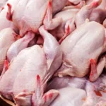 قیمت مرغ