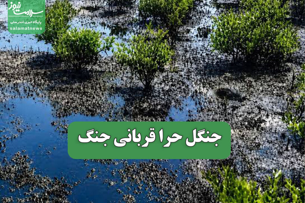 پیامدهای جنگ بر جنگل های حرا آلودگی نفتی در خلیج فارس