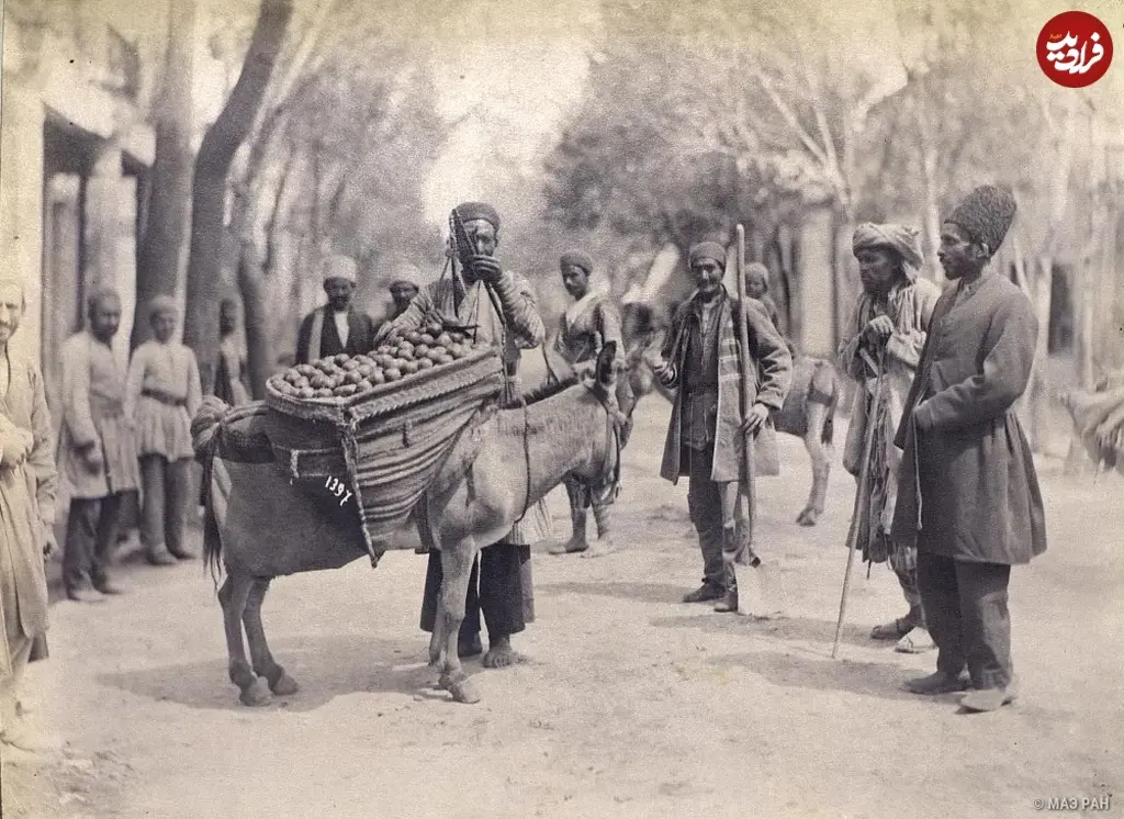 میوه